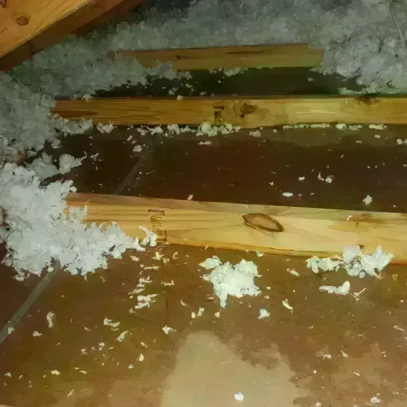 Attic Water Damage in Marshall County, SD