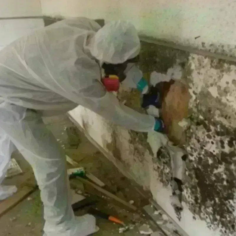 Mold Remediation and Removal in Marshall County, SD