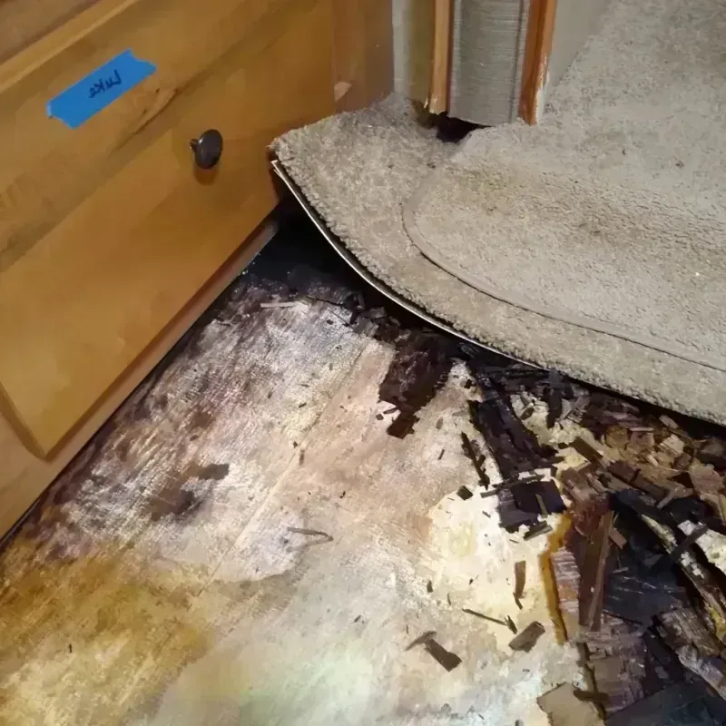 Best Wood Floor Water Damage Service in Marshall County, SD